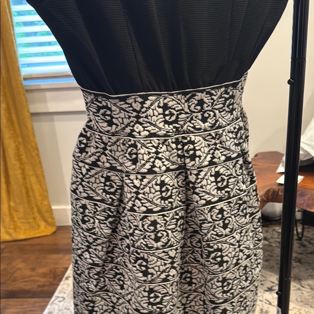 Black and White Fit and Flare Mini Dress - Picture 3 of 5